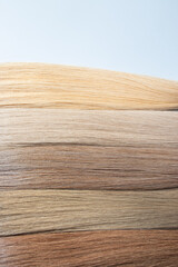 Collection of natural hair strands showcasing a spectrum of blonde to brown shades