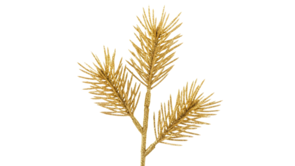 Golden pine branch isolated on white background