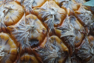 Ripe Pineapple, scaly skin with Eyes, Tropical Fruit