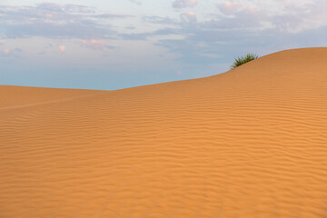 Sand dunes in the desert at sunset. Yellow sand and the blue sky with clouds.