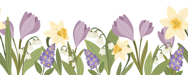Purple crocus, yellow daffodils and blue muscari flowers, hand drawn botanical floral vector seamless border with spring plants