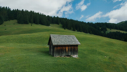 Small Wooden Hut in Green Meadow with Pine Forest Background