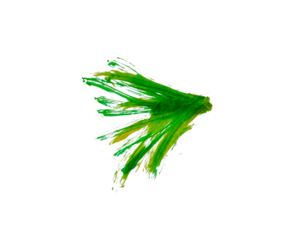 Abstract brush strokes blend green and yellow. Soft textures feel natural. Isolated transparent background.