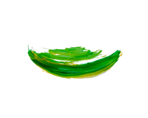 Green and yellow abstract brush marks. Expressive lines create energy. Isolated with transparent background.