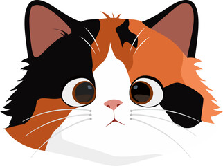 Kitten,illustration © Sitisri