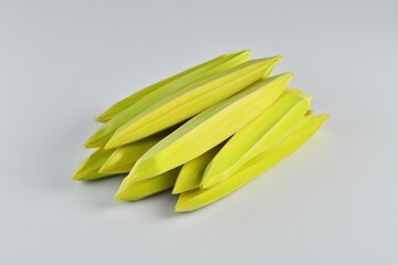 Fresh Bamboo Shoots in Pile