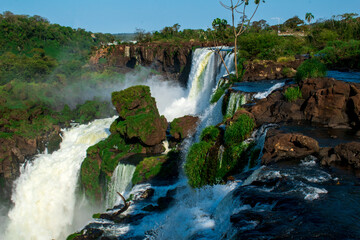 waterfall in the forest