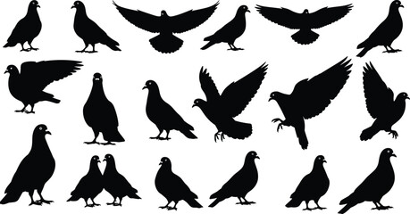Obraz premium Large Collection of Pigeon Silhouettes Featuring Various Poses Like Flying Standing and Landing for Urban Wildlife Design Peace Symbols Nature Projects and Vector Illustration Elements