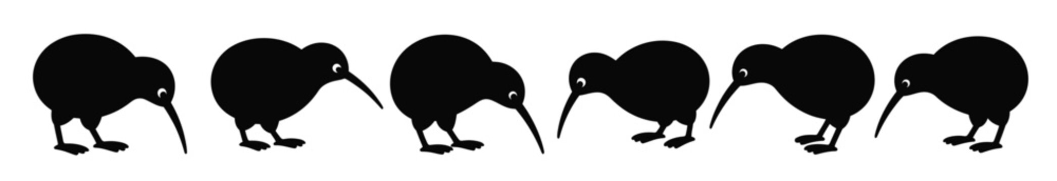 seamless pattern of black kiwi birds on white background design