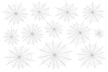 Spider webs collection on white background transparent background