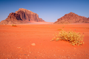 Fototapeta premium Sand and mountains in the famous Wadi Rum desert on a sunny day in Jordan, wild landscapes. The most beautiful places in the Middle East.