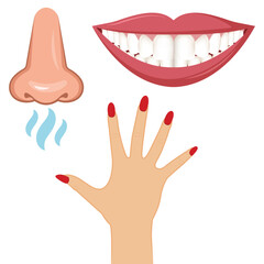 Woman hand with red nails, smiling mouth with healthy teeth and front of nose who smell