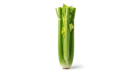 Fresh Green Celery Bunch on White Background.
