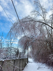 Power line failure due to ice storm, fallen tree branches on electric wires.