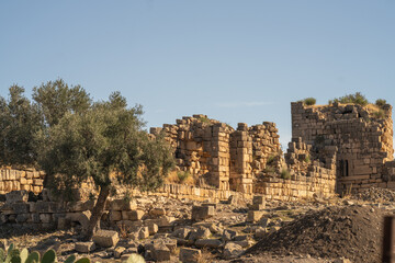 The archaeological site of Chemtou in Tunisia is known for its ancient marble quarries and Roman remains, illustrating the region&rsquo;s importance as a major source of high-quality stone in antiquity.