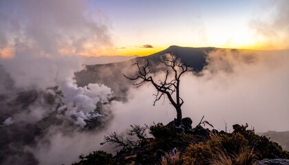Fototapeta premium Ethereal Sunrise at Mount Ijen - A Solitary Tree Amidst Volcanic Mist.
