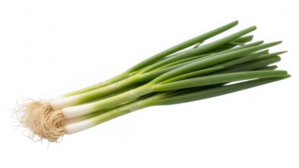 Fresh green spring onions bunch with roots isolated on transparent background