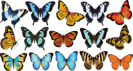 Detailed colorful butterfly illustration set showing multiple species with spread wings isolated on white background vector © Sumon Creative