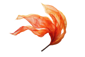 Overhead view of windy icon displayed on plain white backdrop isolated on transparent background