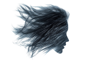 Top view windy icon on clean white background isolated on transparent background