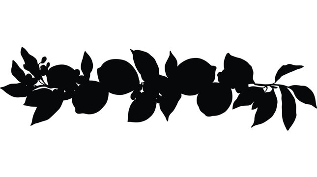 Lemon branch silhouette with citrus fruit and leaves horizontal border vector illustration.