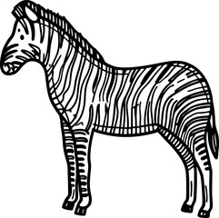 Fototapeta premium zebra illustration with black and white stripes, wild animal drawing, safari wildlife art