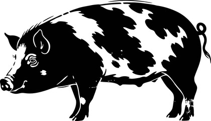 Black and white spotted pig illustration, farm animal side view drawing