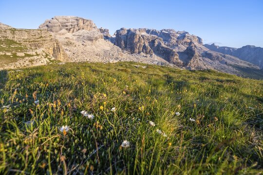 View of rocky mountain peaks of the Brenta Mountains in the evening light, mountain landscape on the Grost&eacute; Plateau, Brenta, Parco Naturale Brenta-Adamello, Trentino, Italy