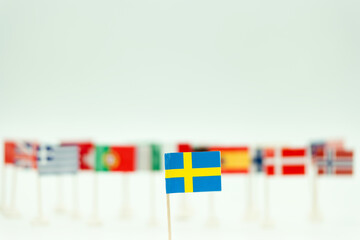 Swedish flag with other country flags in background at a local gathering during a cultural event in autumn