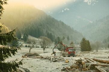 Golden sunlight filters through the misty mountains, casting a warm glow on a lumberjack chopping wood near a red truck, surrounded by a peaceful forest setting
