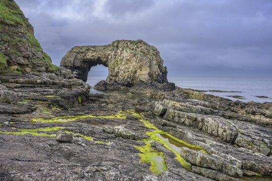 Green algae in tide pools at Pollaird Sea Arch, Fanad, County Donegal, Ireland