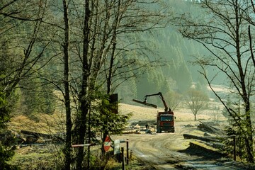 A logging truck operates in a misty forest during the early morning hours. The greenery surrounds the truck, framing its hard work among trees and fallen logs, embodying nature's quiet beauty