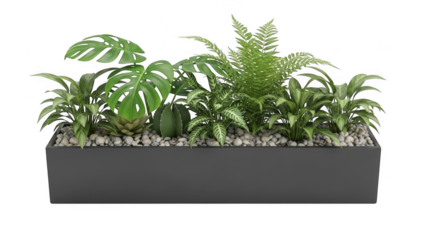 Lush green plants in a black planter isolated on transparent background