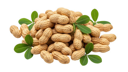 Peanuts with leaves isolated on transparent background
