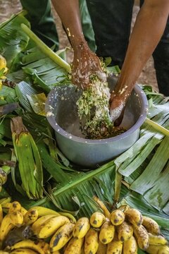 Local man, production of banana juice and banana schnapps, banana plantation, near Fort Portal, Uganda