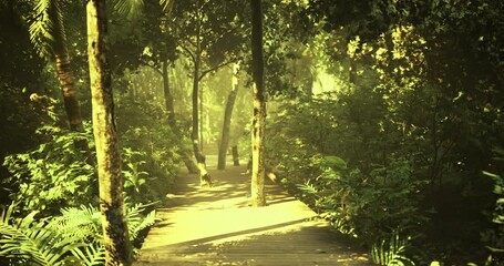 A vibrant forest path bathed in sunlight invites wanderers. Lush greenery lines the trail, creating a serene atmosphere perfect for walking or reflection.