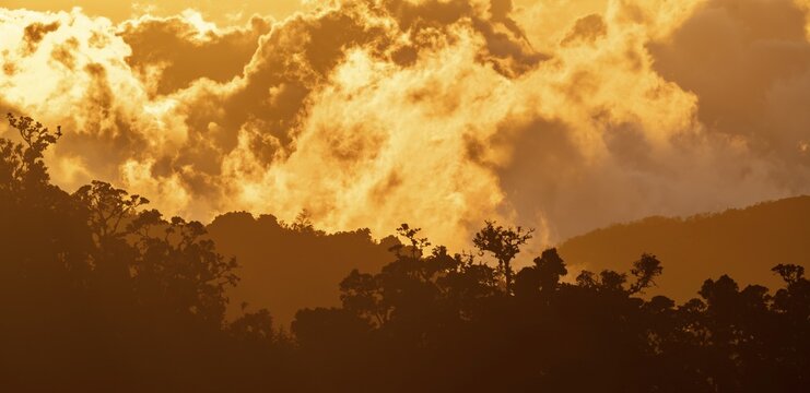 Evening mood, clouds over cloud forest, mountain rainforest, Parque Nacional Los Quetzales, Costa Rica