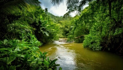 Obraz premium Lush Tropical Rainforest Scene with River Flowing Through Dense Vegetation.