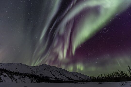 Green, yellow and purple northern lights (aurora borealis) over snowy mountains, northern lights storm, Brooks Range, Alaska, USA