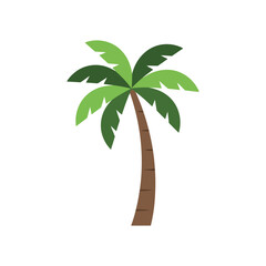 palm tree vector illustration