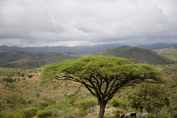 Ethiopia landscape on a cloudy winter day.