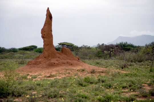 Ethiopian termite mound on a cloudy winter day