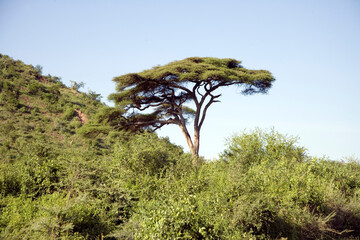 Ethiopia landscape on a cloudy winter day.