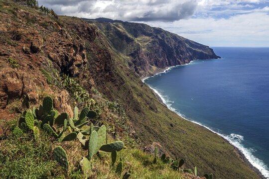 View of the cliffs from the Miradouro Farol da Ponta do Pargo, Ponta do Pargo, Madeira, Portugal