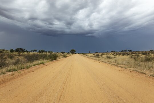 Gravel road and approaching thunderstorm during the rainy season. Kalahari Desert. Kgalagadi Transfrontier Park, South Africa