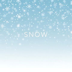 Snowflakes falling gently in winter wonderland scene