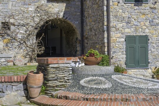 Cat in place in, Monte Marcello, Province of La Spezia, Italy