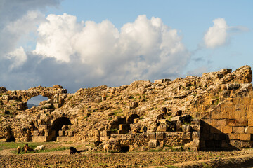 The archaeological site of Chemtou in Tunisia is known for its ancient marble quarries and Roman remains, illustrating the region&rsquo;s importance as a major source of high-quality stone in antiquity.