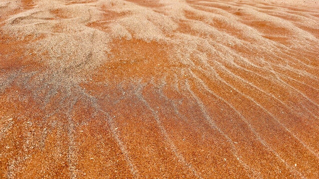 Rippling patterns of the Namib Desert sands