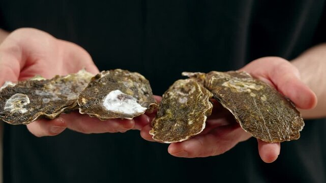 Fresh raw oysters with ice, french restaurant, mediterranean Healthy sea food, gourment luxury cuisine. Close up of seafood restaurant. 